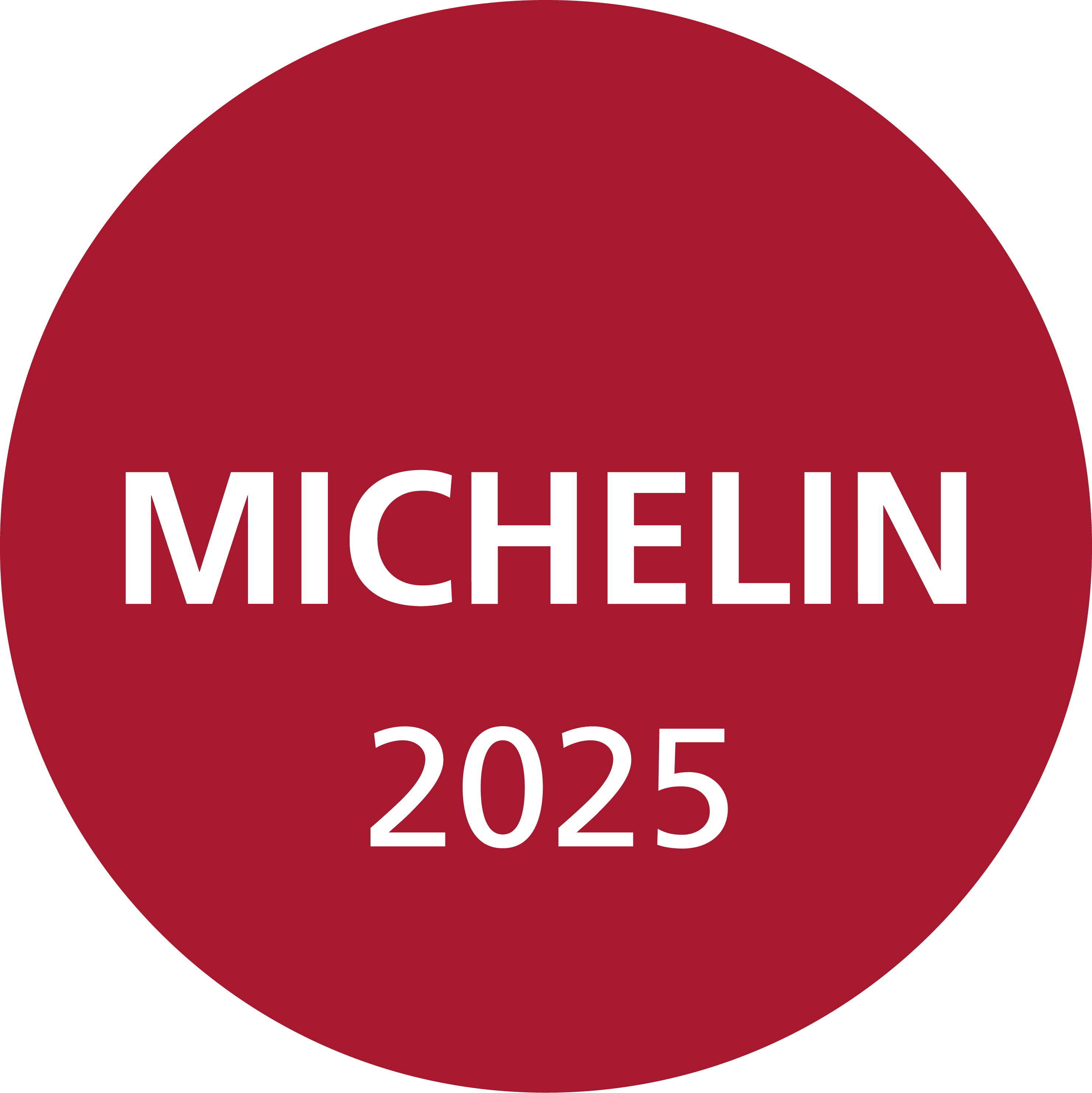 Michelin Logo 2024